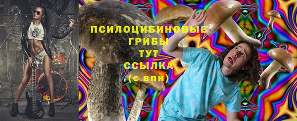мяу мяу кристалл Верея