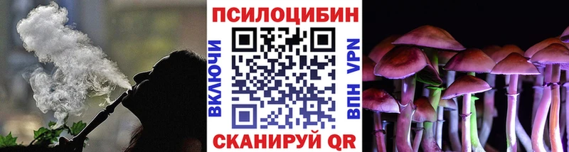 Псилоцибиновые грибы прущие грибы  Купить  Макаров 